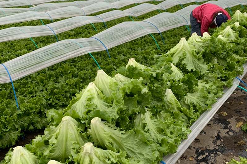 次郎の里農場イメージ