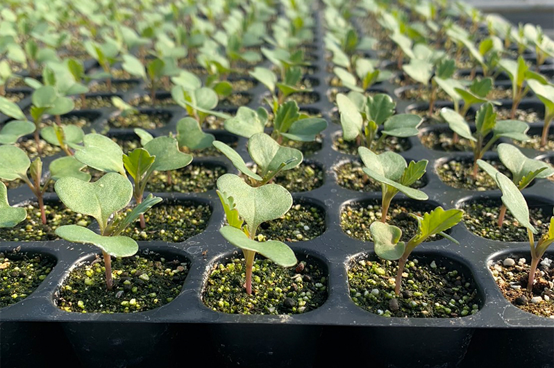 次郎の里農場イメージ