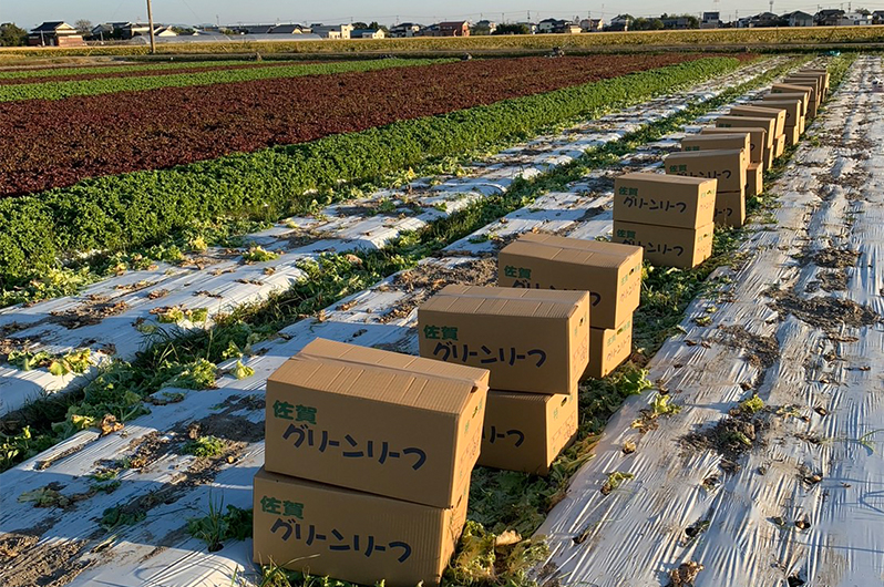 次郎の里農場イメージ