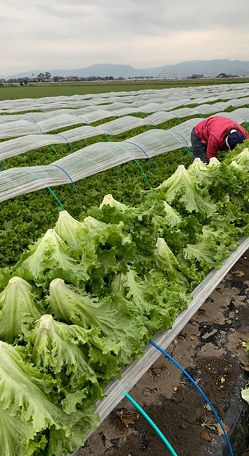 募集要項イメージ