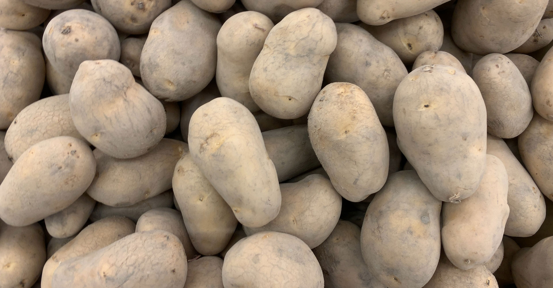 次郎の里農場イメージ１