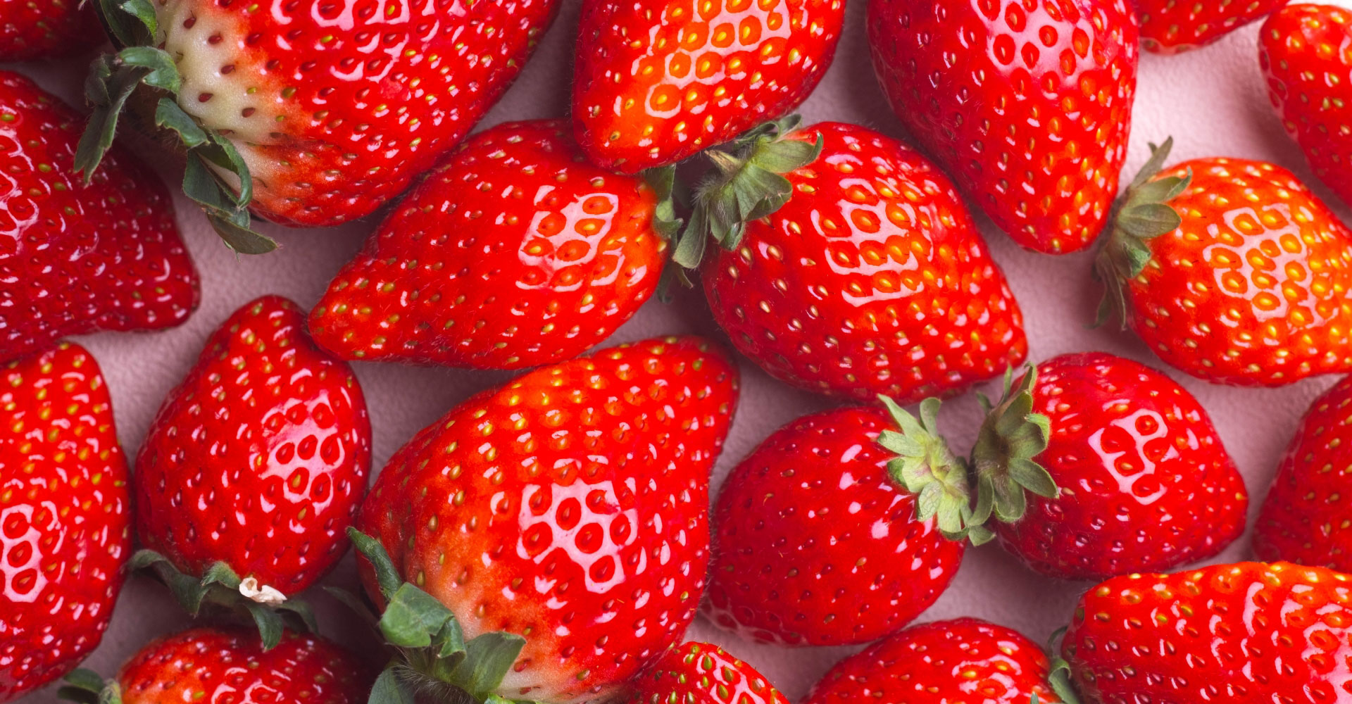 次郎の里農場イメージ2